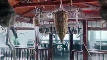 Ardahan'da 55 yılın kar rekoru kırıldı