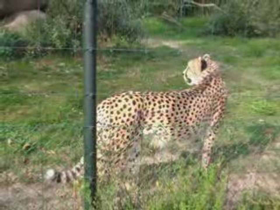 Zoo Basel 2007