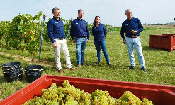 Agriculteur en grandes cultures, Julien Dhaine s'est lancé dans la viticulture