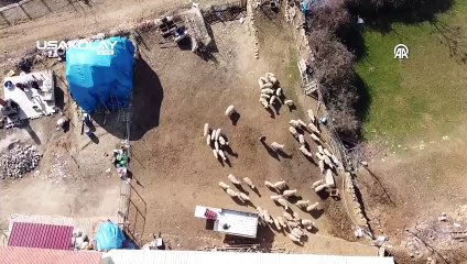 Devlet Desteğiyle 10 Yılda Kazanamadığını 2 Yılda Kazandı