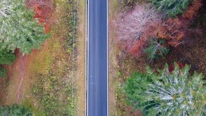 le Storie di BIKE – trentaseiesima puntata – Wamii