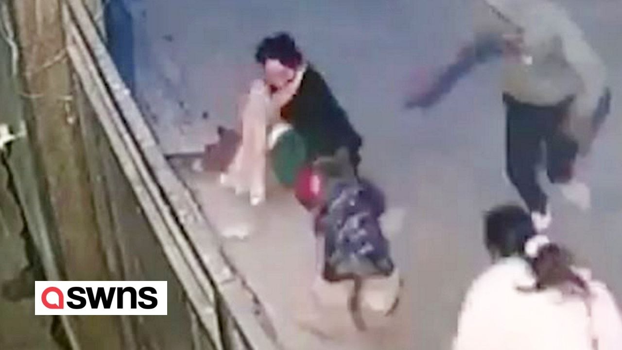 Tapfere mutter rettet ihr kleinkind vor bösartigem hundeangriff