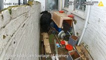 Police footage of neglected dog rescued in Ramsgate