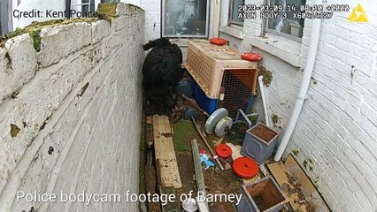 Police footage of neglected dog rescued in Ramsgate