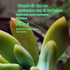 Moises Shemaria Capuano| Los festivales de cine (parte 3)