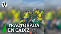 Los agricultores de Cádiz se unen a la tractorada