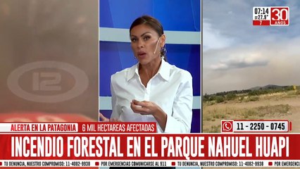 Fuego fuera de control en Los Alerces y Nahuel Huapi