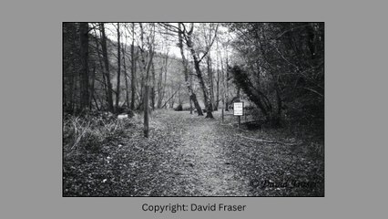 Picture This: Black and white photography