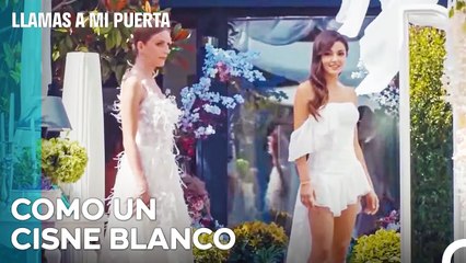 Proceso Del Vestido De Novia En La Preparación Del Matrimonio - Llamas A Mi Puerta