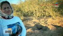 Madres buscadoras de Sonora encuentran pozo