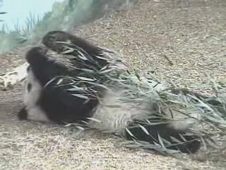 4-2-08~Mei Lan Eating Boo C-U~5.03min.