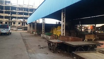 Platforms remain empty, fruit markets are set up on the roads