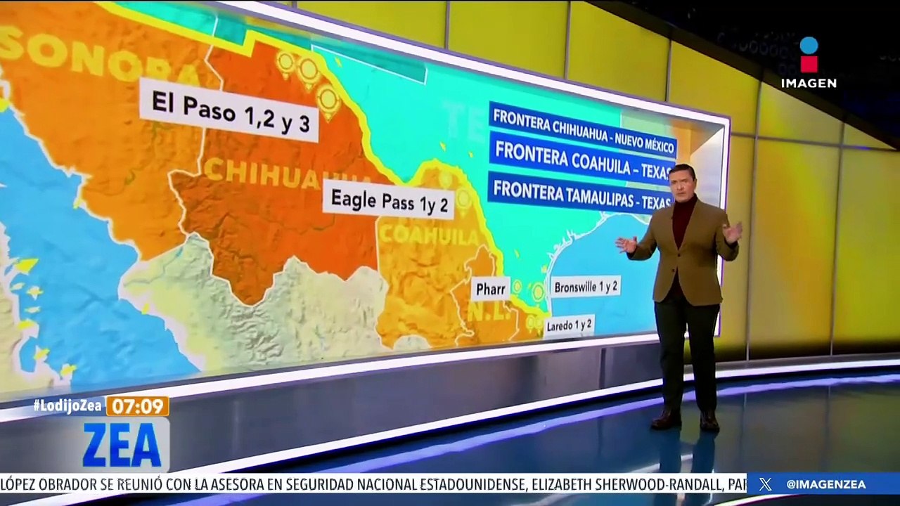 Partido Verde celebra aprobación de refugios temporales para perros de la calle