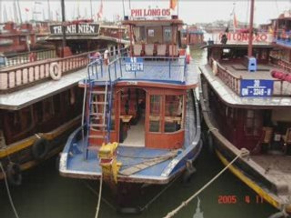 Riziéres du Vietnam