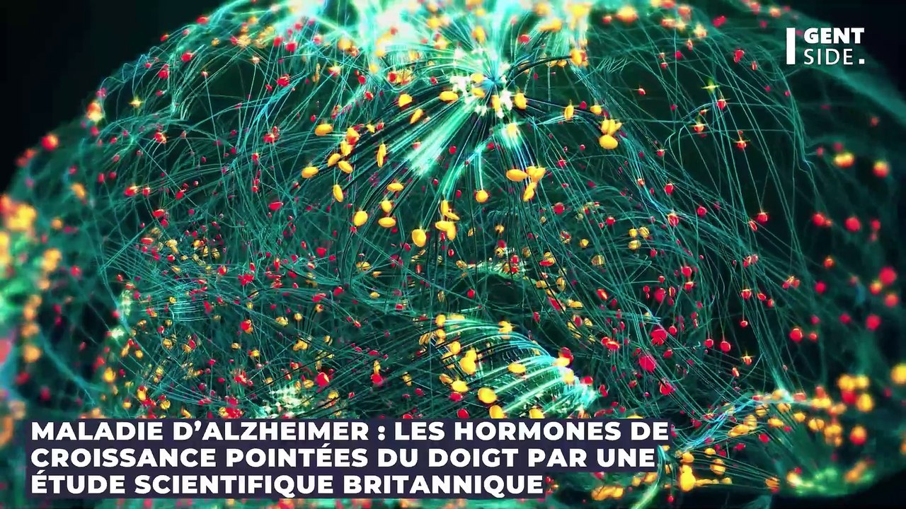 Maladie d’Alzheimer : les hormones de croissance pointées du doigt par une étude scientifique britannique
