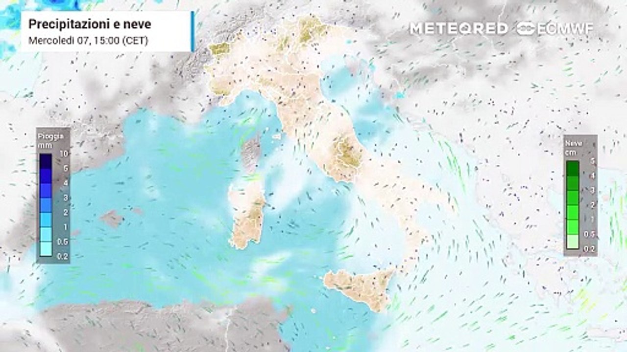 Mappa delle precipitazioni