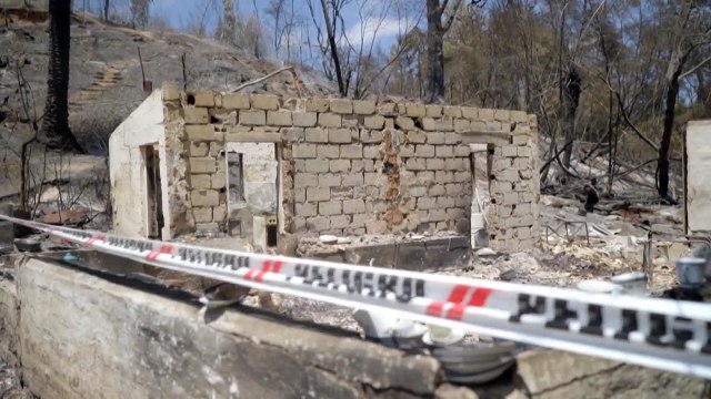 Maior jardim botânico do Chile é devastado por incêndios florestais