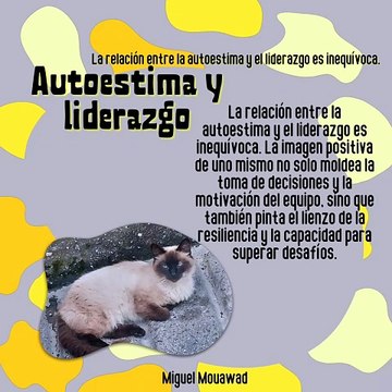 Miguel Mouawad- Autoestima y liderazgo: