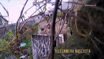 Carabinieri Smantellano Rete di Spaccio nel Cuore della Capitale 🚓