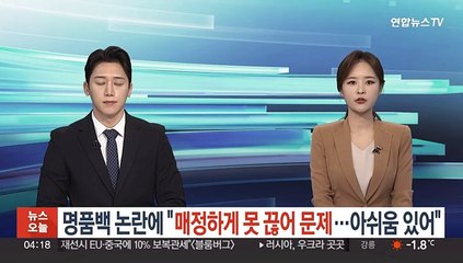 윤대통령, 명품백 논란에 "매정하게 못 끊어 문제…아쉬움 있어"