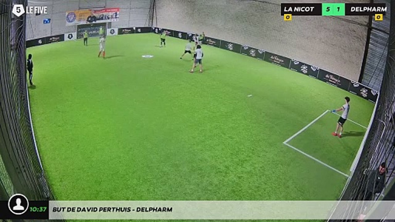 But de DAVID PERTHUIS - DELPHARM