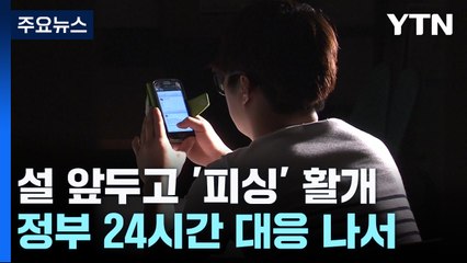 "세뱃돈 드려요""부고 알립니다"...피싱 '24시간' 대응 / YTN