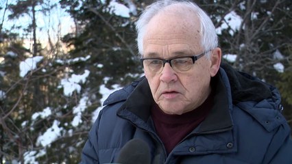 Cimetière de Saint-André-de-Kamouraska : la coupe des arbres suscite l’indignation