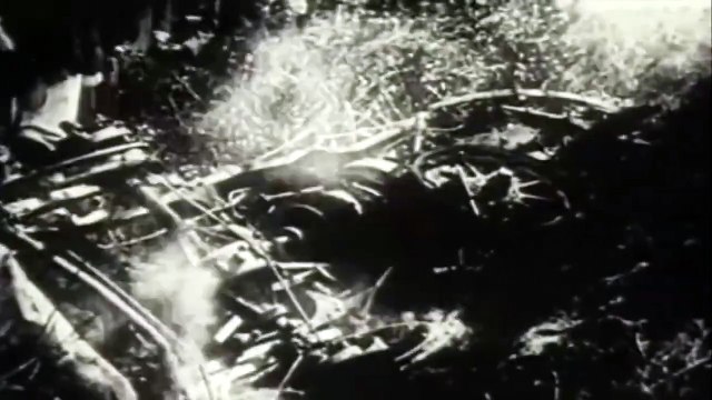 Maurice Fournier & Georges Louvel's Fatal Crash @ Le Mans 1911 (Aftermath)