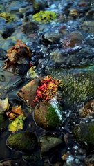 Aşkın Yolculuğu: Tutkulu Bir Maceraya Hazır mısınız?