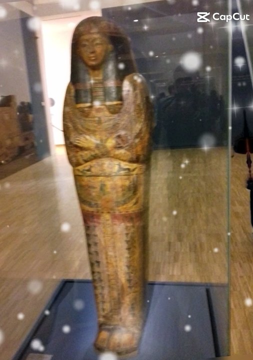 Le Musée de Grenoble est un musée municipal des beaux-arts et des antiquités de Grenoble #france  (9)