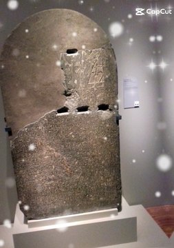 Le Musée de Grenoble est un musée municipal des beaux-arts et des antiquités de Grenoble #france (10)