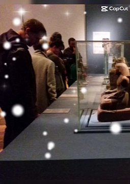 Le Musée de Grenoble est un musée municipal des beaux-arts et des antiquités de Grenoble #france (13)