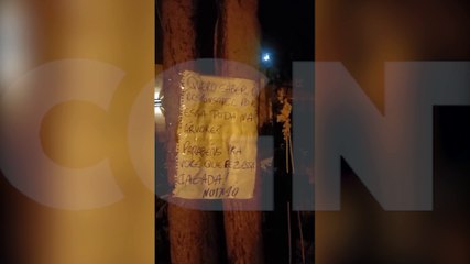 Mistério! Internauta chega em casa e descobre que galhos de sua árvore foram cortados
