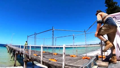 Calls for more funding to repair South Australia's jetties