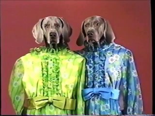 Sesame Street Presents: William Wegman’s Mother Goose (1997) (Full VHS High Quality) (Movie Replace Version)