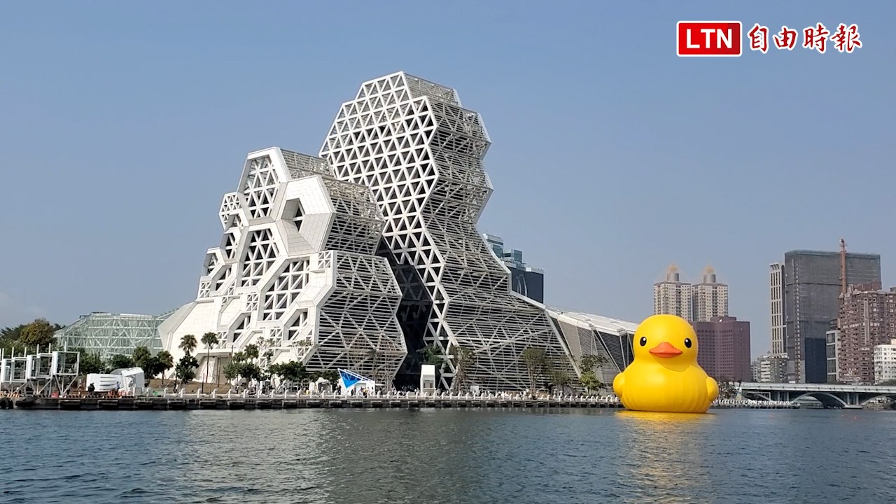 海上同框黃色小鴨拍合照！「文化遊艇賞鴨專班」視角超萌