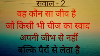 paheliyan  paheli  Riddles पहेलियां बूझो तो जाने _ हिंदी मजेदार पहेलियां | puzzles