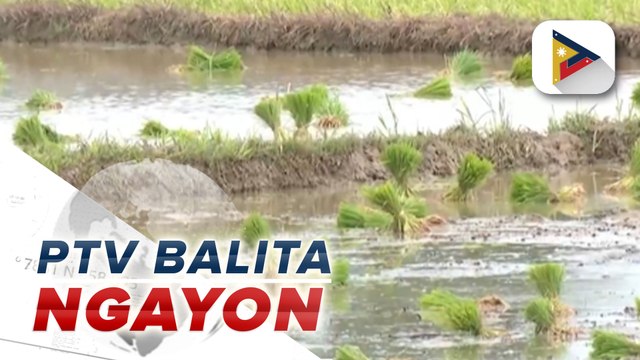 Suplay ng tubig sa mga irigasyon sa Bulacan, nananatiling sapat sa kabila ng pagbaba ng lebel ng tubig sa Angat