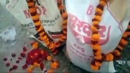 Video: खाद की बोरियों की हुई आरती, बताई ये वजह