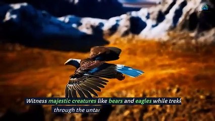 A Comprehensive Guide to Unforgettable Hiking Tours in Alaska