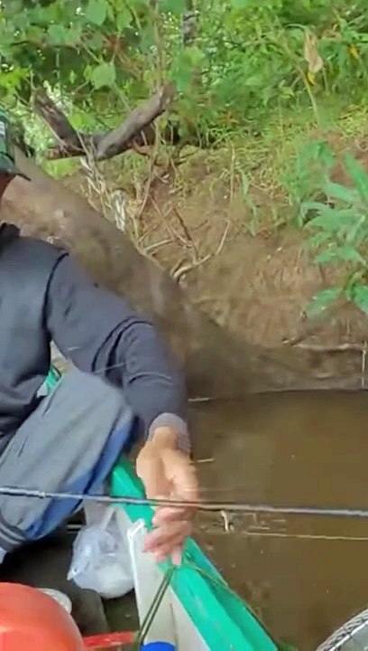 mancing baung