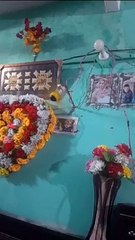 VID-20230809-WA0027