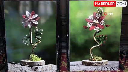 Kütahya Olgunlaşma Enstitüsü şehre değer kattı