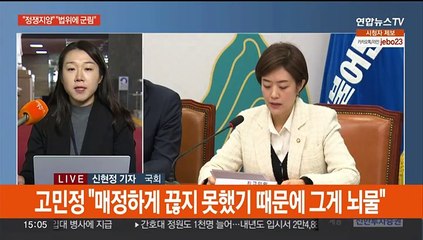 '명품백 해명' 공방…"진솔한 생각" "뻔뻔한 변명"