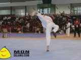 Tournoi International de Paris - Technique
