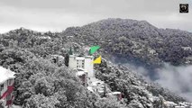 Snowshed Shimla