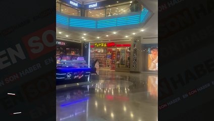 Mağazadan oyuncak çalıp sahibine getiren köpek kamerada