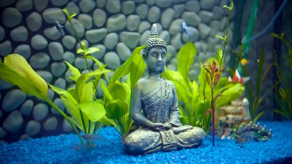 Tráiler de La Vuelta al Mundo en 80 días de Plex