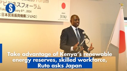 Take advantage of Kenya’s renewable energy reserves, skilled workforce, Ruto asks Japan
