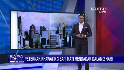 Peternak di Jembrana Khawatir Usai Insiden 3 Sapi Anakan Mati Mendadak